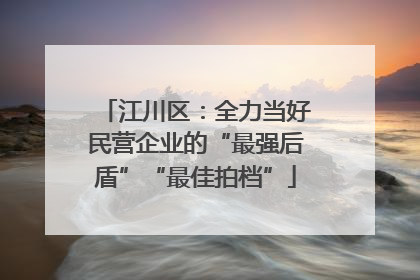 江川区：全力当好民营企业的“最强后盾”“最佳拍档”