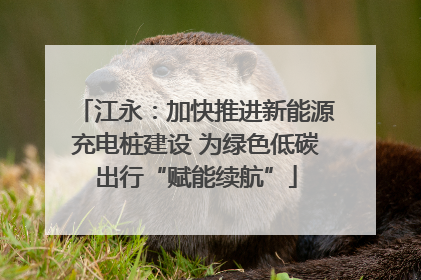 江永：加快推进新能源充电桩建设 为绿色低碳出行“赋能续航”