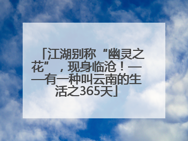 江湖别称“幽灵之花”，现身临沧！——有一种叫云南的生活之365天