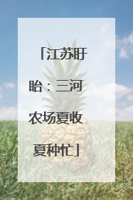 江苏盱眙：三河农场夏收夏种忙