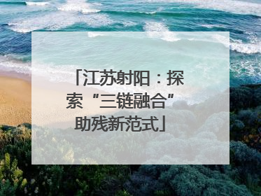 江苏射阳：探索“三链融合”助残新范式