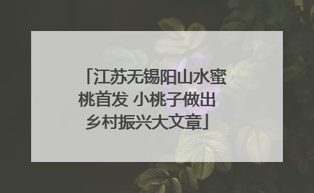 江苏无锡阳山水蜜桃首发 小桃子做出乡村振兴大文章