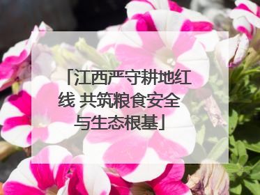 江西严守耕地红线 共筑粮食安全与生态根基