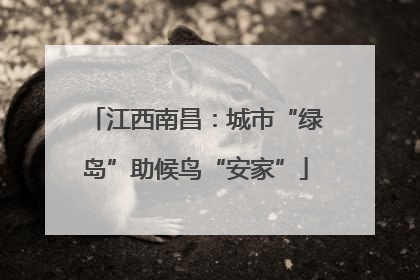 江西南昌：城市“绿岛”助候鸟“安家”