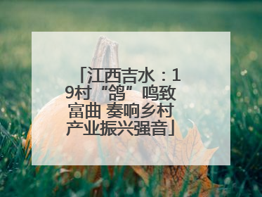 江西吉水：19村“鸽”鸣致富曲 奏响乡村产业振兴强音