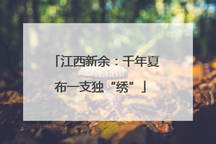 江西新余：千年夏布一支独“绣”