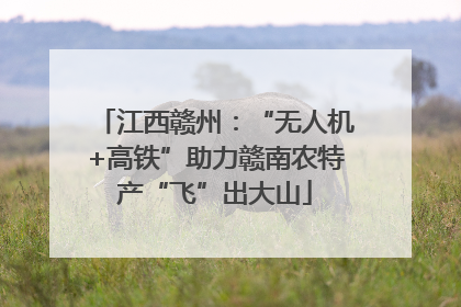 江西赣州：“无人机+高铁”助力赣南农特产“飞”出大山