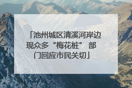 池州城区清溪河岸边现众多“梅花桩” 部门回应市民关切