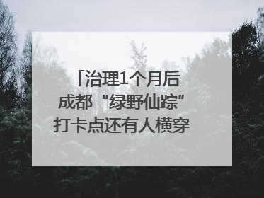 治理1个月后 成都“绿野仙踪”打卡点还有人横穿马路去拍照吗？｜民情瞭望