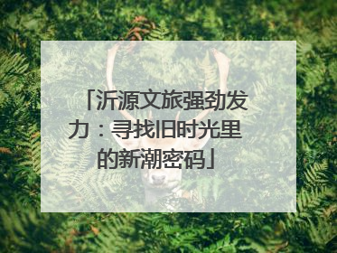 沂源文旅强劲发力：寻找旧时光里的新潮密码