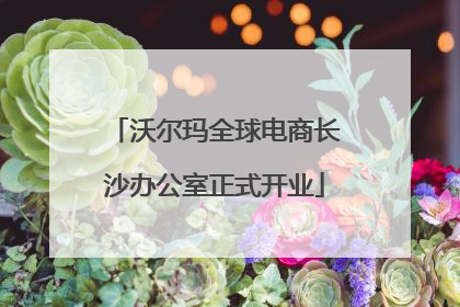 沃尔玛全球电商长沙办公室正式开业