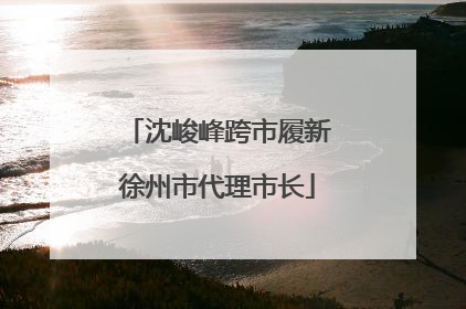 沈峻峰跨市履新徐州市代理市长