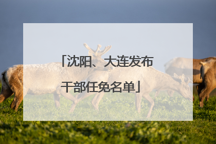 沈阳、大连发布干部任免名单