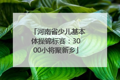 河南省少儿基本体操锦标赛：3000小将聚新乡