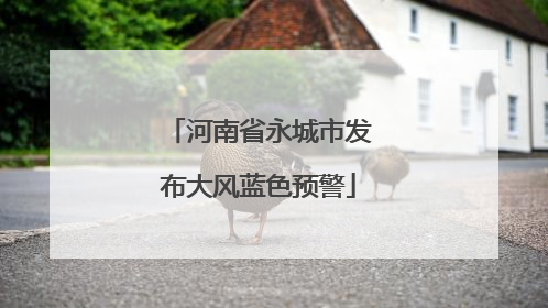 河南省永城市发布大风蓝色预警