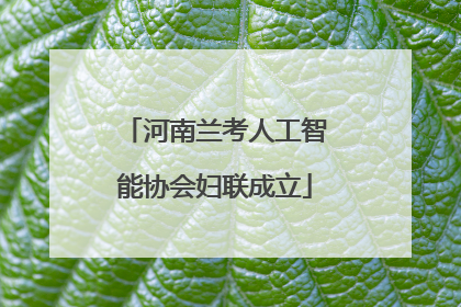 河南兰考人工智能协会妇联成立