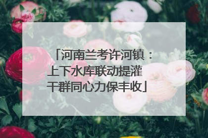 河南兰考许河镇：上下水库联动提灌 干群同心力保丰收