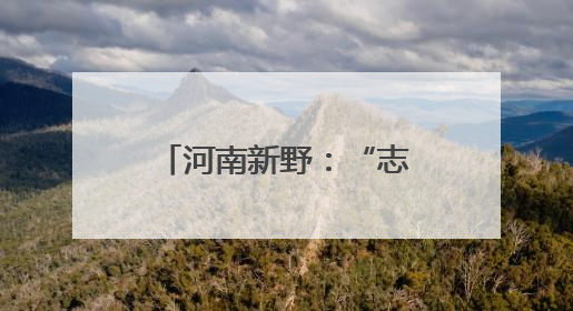 河南新野：“志愿服务＋”激活基层治理新动能