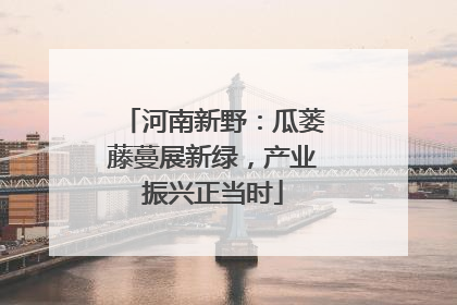 河南新野：瓜蒌藤蔓展新绿，产业振兴正当时