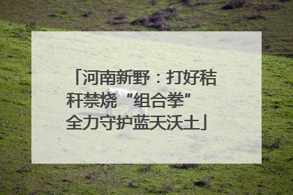 河南新野：打好秸秆禁烧“组合拳” 全力守护蓝天沃土