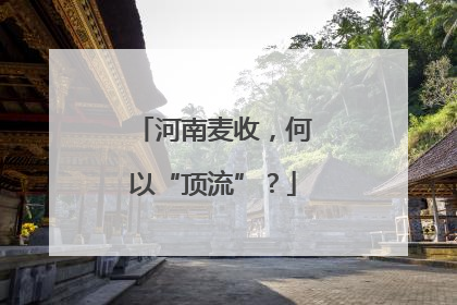 河南麦收，何以“顶流”？
