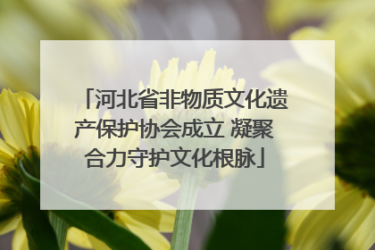 河北省非物质文化遗产保护协会成立 凝聚合力守护文化根脉