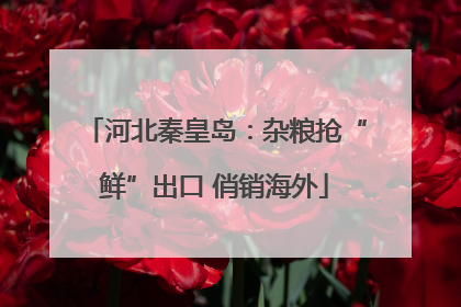 河北秦皇岛：杂粮抢“鲜”出口 俏销海外