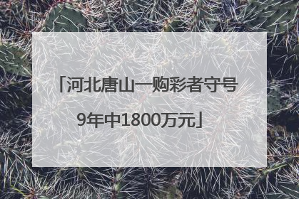 河北唐山一购彩者守号9年中1800万元