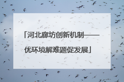 河北廊坊创新机制——优环境解难题促发展