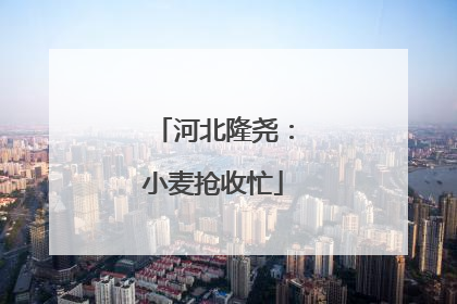 河北隆尧：小麦抢收忙