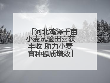 河北鸡泽千亩小麦试验田喜获丰收 助力小麦育种提质增效