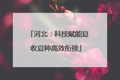 河北：科技赋能夏收夏种高效衔接