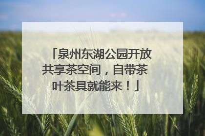 泉州东湖公园开放共享茶空间，自带茶叶茶具就能来！