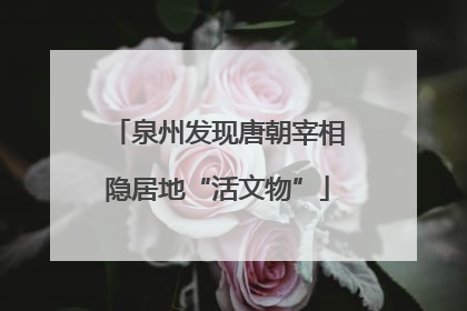 泉州发现唐朝宰相隐居地“活文物”