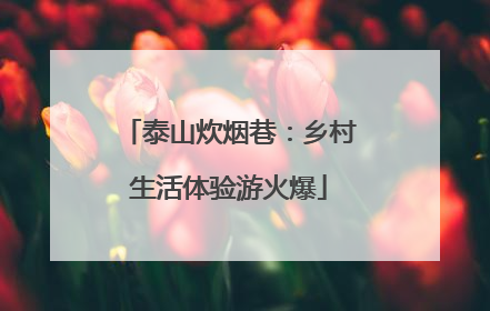 泰山炊烟巷：乡村生活体验游火爆