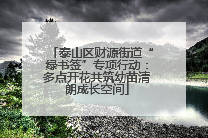 泰山区财源街道“绿书签”专项行动：多点开花共筑幼苗清朗成长空间