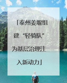 泰州姜堰组建“轻骑队”为基层治理注入新动力