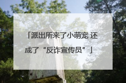 派出所来了小萌宠 还成了“反诈宣传员”