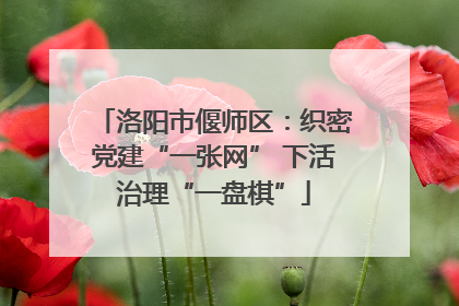 洛阳市偃师区：织密党建“一张网” 下活治理“一盘棋”