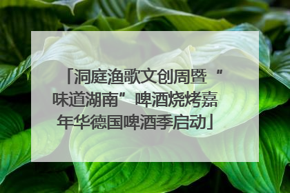 洞庭渔歌文创周暨“味道湖南”啤酒烧烤嘉年华德国啤酒季启动