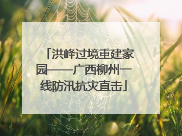 洪峰过境重建家园——广西柳州一线防汛抗灾直击