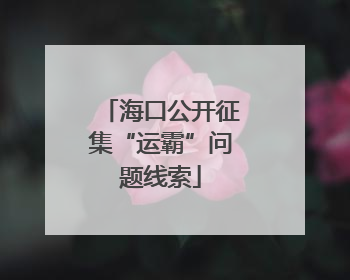 海口公开征集“运霸”问题线索