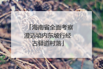 海南省全面考察澄迈境内东坡行经古驿道村落