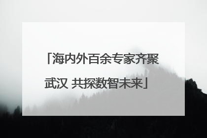 海内外百余专家齐聚武汉 共探数智未来