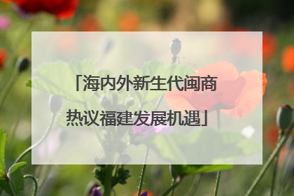 海内外新生代闽商热议福建发展机遇
