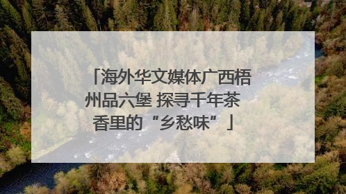 海外华文媒体广西梧州品六堡 探寻千年茶香里的“乡愁味”