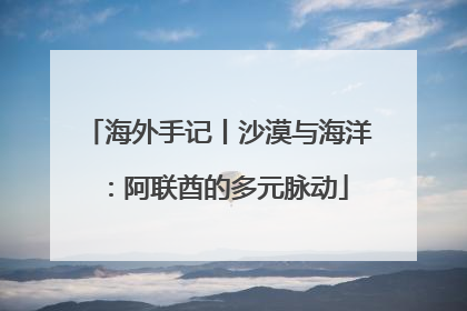 海外手记丨沙漠与海洋：阿联酋的多元脉动