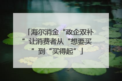 海尔消金“政企双补”让消费者从“想要买”到“买得起”