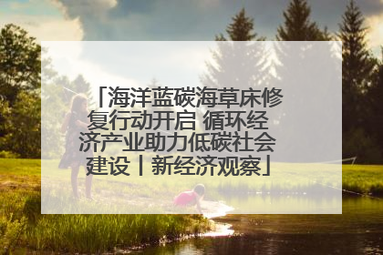 海洋蓝碳海草床修复行动开启 循环经济产业助力低碳社会建设丨新经济观察