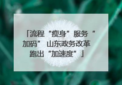 流程“瘦身”服务“加码” 山东政务改革跑出“加速度”